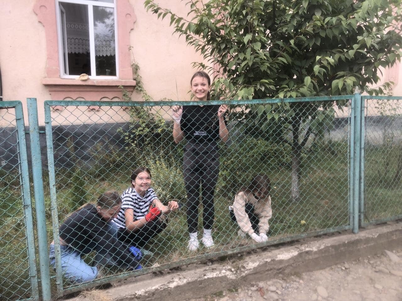 23