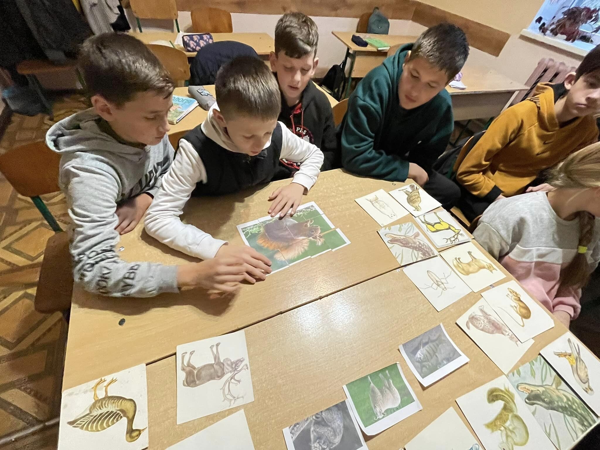 6